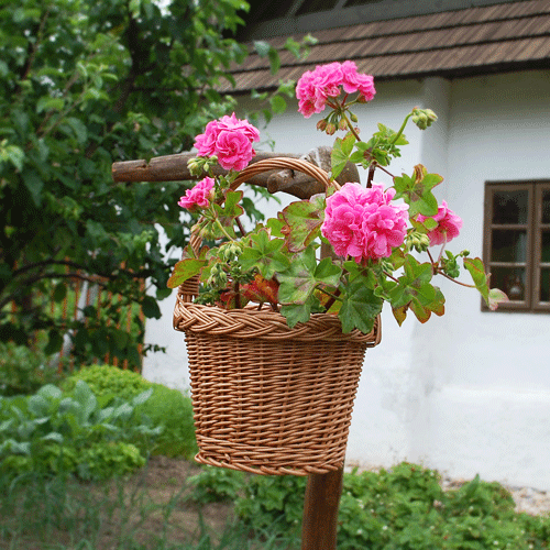 Koš trháček mini světlý