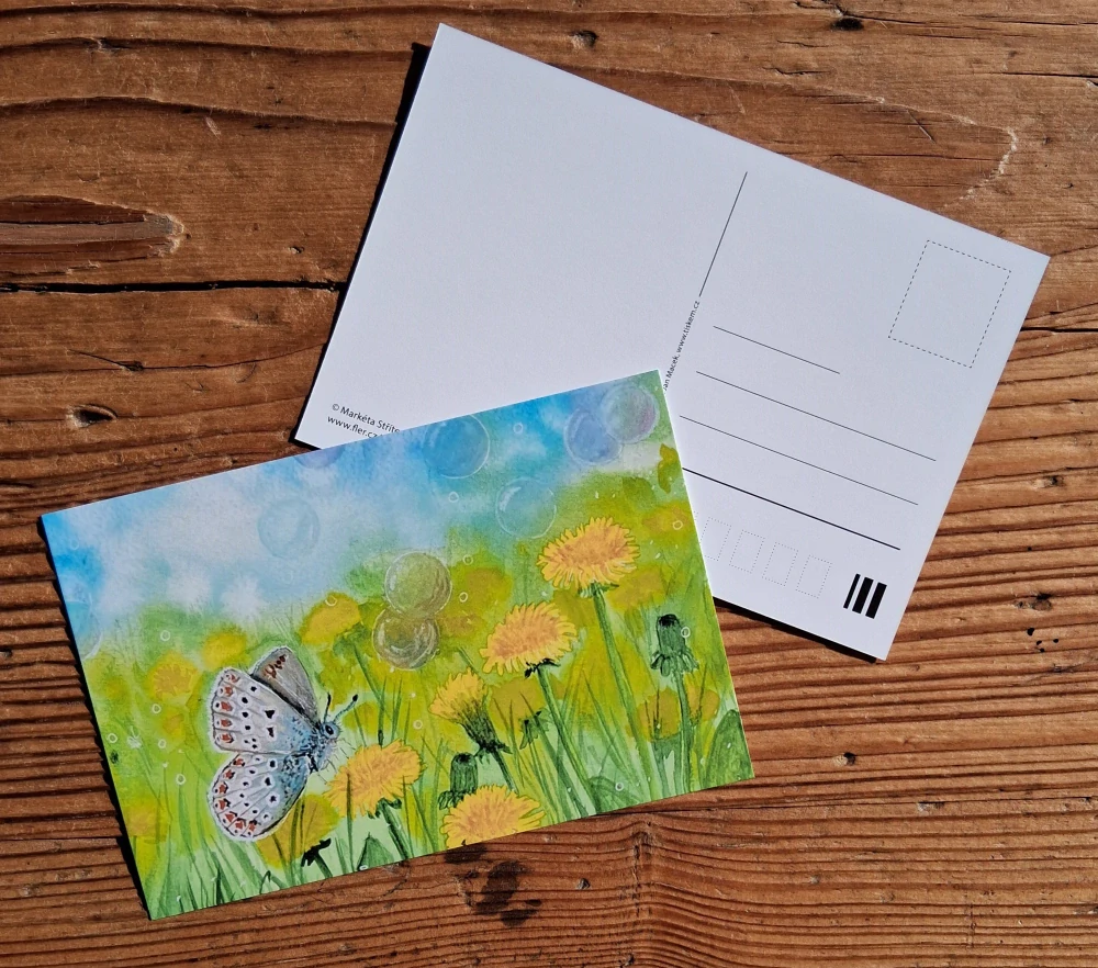 Jarní pohlednice s motýlem