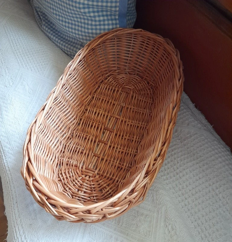 Ošatka vyšší bez oušek