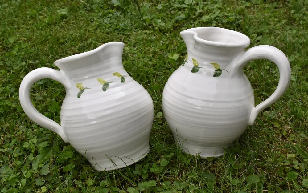 Set keramického nádobí se zelenými lístky