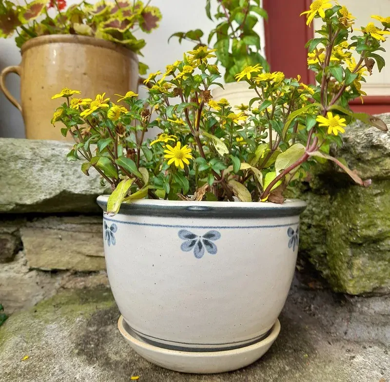 Květináč větší